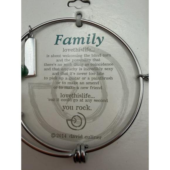 Love This Life Family Expandable Bangle Bracelet Stainless Steel Silver Green - Picture 4 of 11